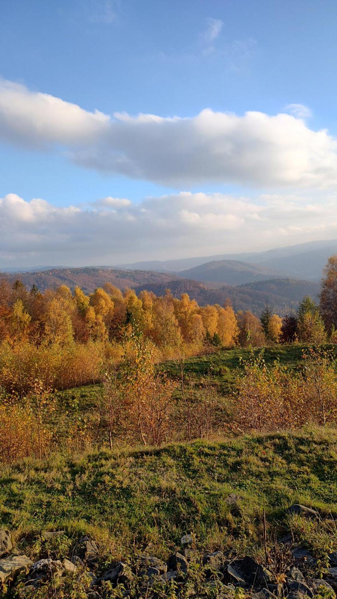 Dog Friendly Dom, Apartamenty Wichrowe Wzgorza Z Basenem Brenna Ustroń Exterior foto