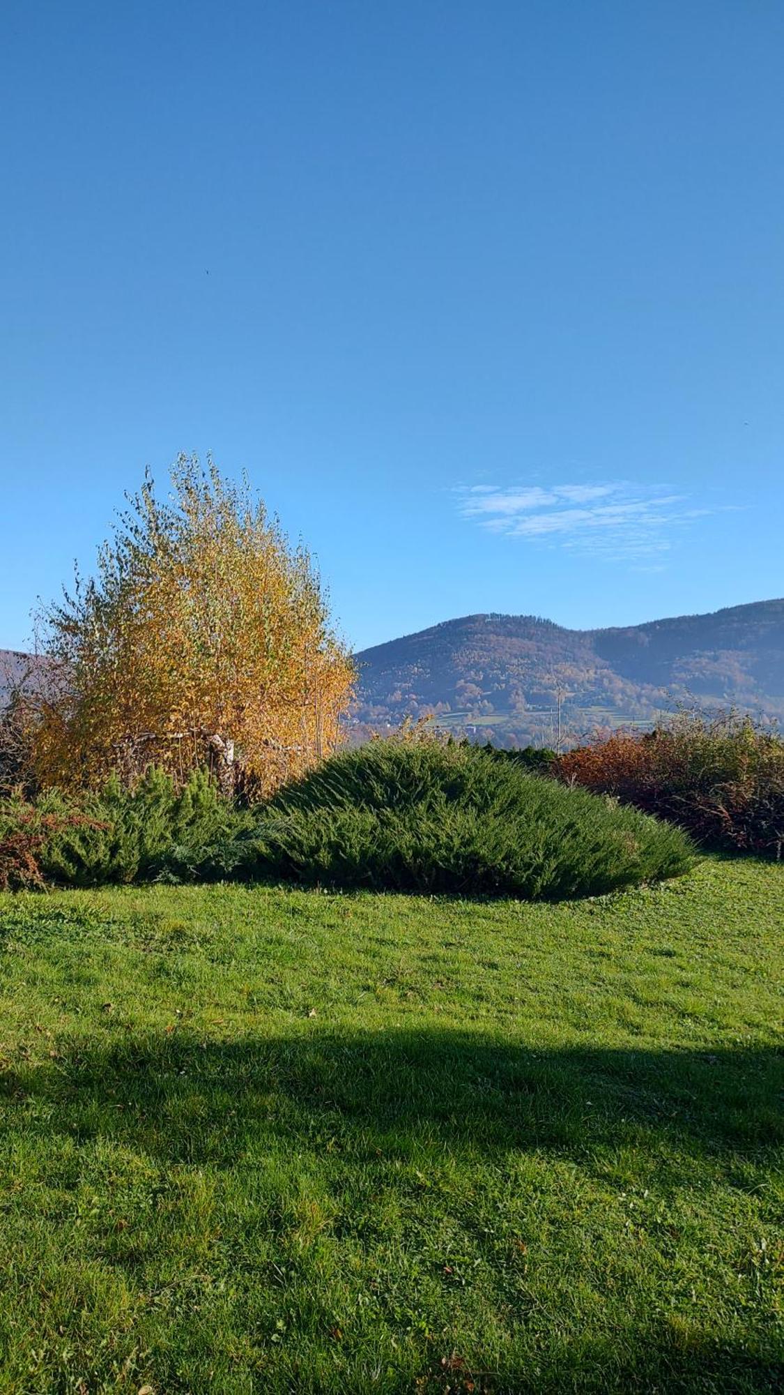 Dog Friendly Dom, Apartamenty Wichrowe Wzgorza Z Basenem Brenna Ustroń Exterior foto